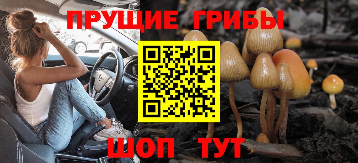 Псилоцибиновые грибы GOLDEN TEACHER Астрахань