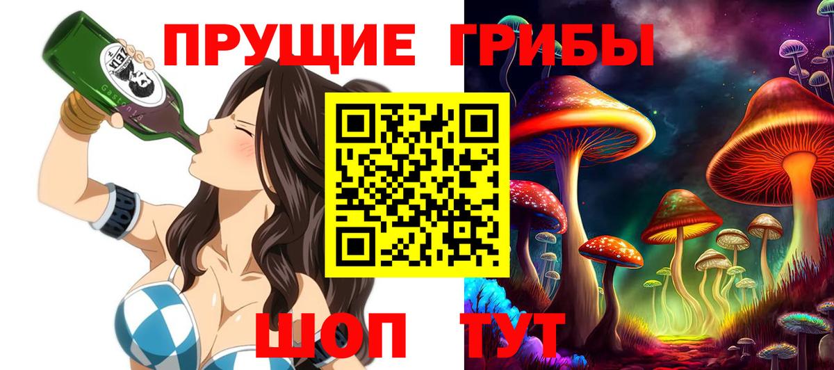 Астрахань  Галлюциногенные грибы ЛСД  Галлюциногенные грибы Psilocybe  Вход с VPN 
